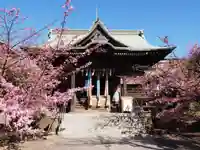 桜神宮の本殿・本堂