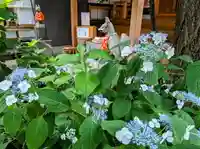 五十稲荷神社(栄寿稲荷神社)(東京都)