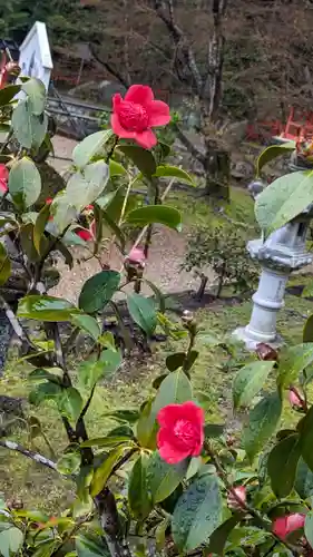 大原野神社(京都府)