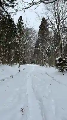 戸隠神社奥社の{uncategorized: "未分類", other: "その他", undefined: "問題あり", building: "その他建物", grave: "お墓", sacred_gate: "鳥居", guardian: "狛犬", statue: "像", buddha: "仏像", history: "歴史", nature: "自然", garden: "庭園", animal: "動物", pagoda: "塔", temizu: "手水舎", mountain_gate: "山門・神門", sanctuary: "本殿・本堂", subordinate: "末社・摂社", art: "芸術", scenery: "景色", jizo: "地蔵", ema: "絵馬", goshuin: "御朱印", omikuji: "おみくじ", items: "授与品その他", amulet: "お守り", goshuincho: "御朱印帳", eats: "食事", festival: "お祭り", votive_dance: "神楽", shichigosan: "七五三参", wedding: "結婚式", experience: "体験その他", initially: "初詣", around: "周辺", anti_infection: "感染症対策"}
