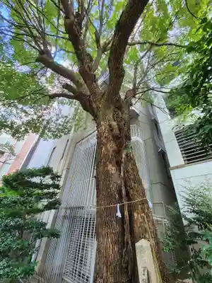 泥江縣神社(愛知県)