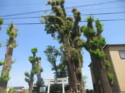宮鍋神社(群馬県)