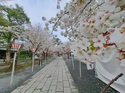 三嶋大社(静岡県)