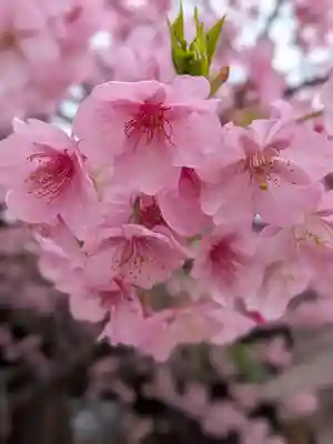 新宿下落合氷川神社(東京都)