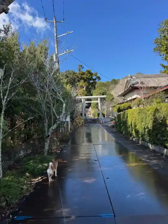高家神社の{uncategorized: "未分類", other: "その他", undefined: "問題あり", building: "その他建物", grave: "お墓", sacred_gate: "鳥居", guardian: "狛犬", statue: "像", buddha: "仏像", history: "歴史", nature: "自然", garden: "庭園", animal: "動物", pagoda: "塔", temizu: "手水舎", mountain_gate: "山門・神門", sanctuary: "本殿・本堂", subordinate: "末社・摂社", art: "芸術", scenery: "景色", jizo: "地蔵", ema: "絵馬", goshuin: "御朱印", omikuji: "おみくじ", items: "授与品その他", amulet: "お守り", goshuincho: "御朱印帳", eats: "食事", festival: "お祭り", votive_dance: "神楽", shichigosan: "七五三参", wedding: "結婚式", experience: "体験その他", initially: "初詣", around: "周辺", anti_infection: "感染症対策"}