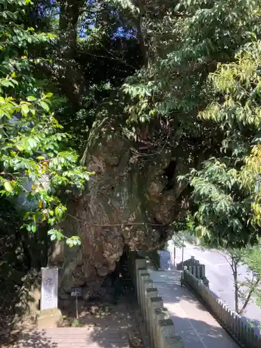 楽法寺（雨引観音）(茨城県)