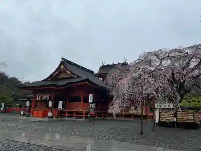 富士山本宮浅間大社(静岡県)