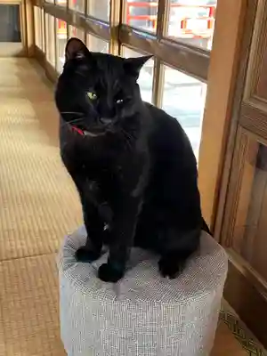 高司神社〜むすびの神の鎮まる社〜(福島県)