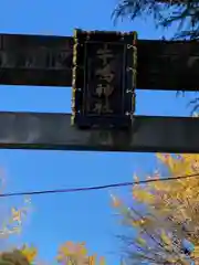 牛嶋神社の建物その他