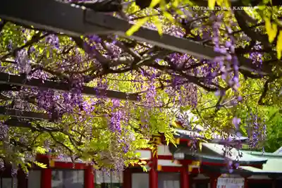 日枝神社(東京都)
