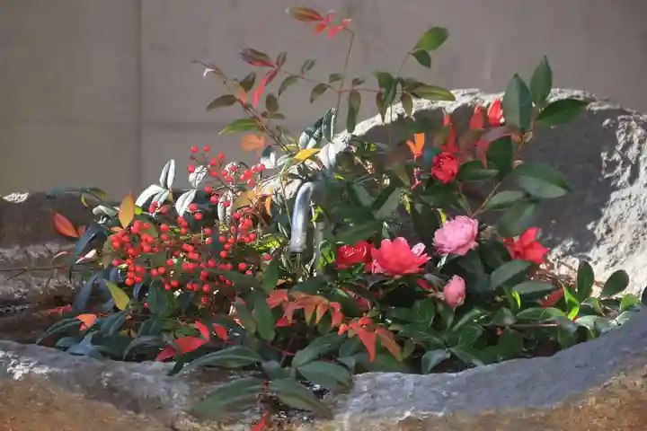 愛宕神社の手水舎