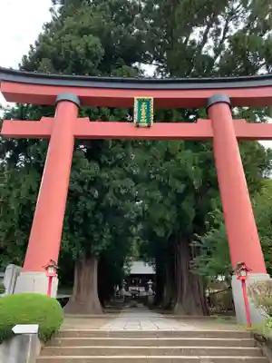 河口浅間神社の鳥居