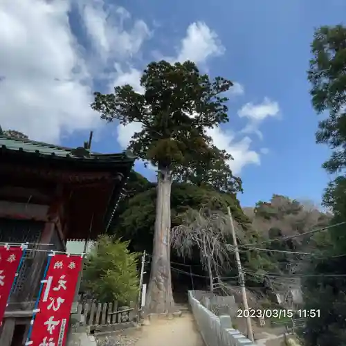 筑波山神社(茨城県)