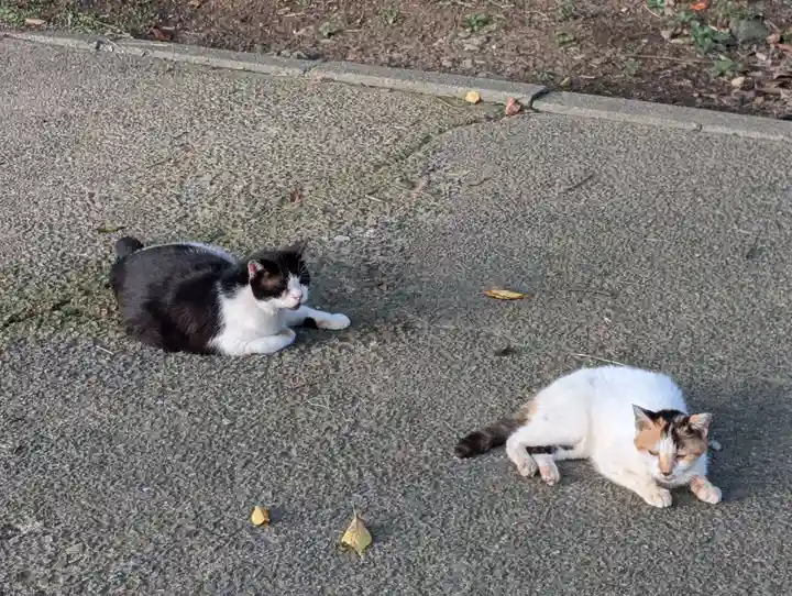 春日神社(神奈川県)