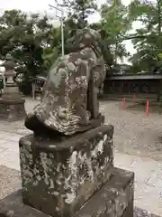 大宮神社の狛犬