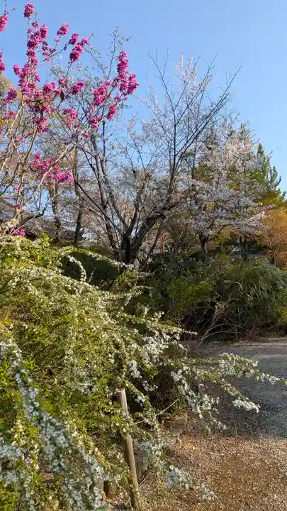 久米寺(奈良県)