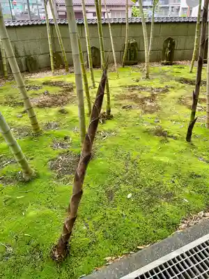 正業寺(神奈川県)