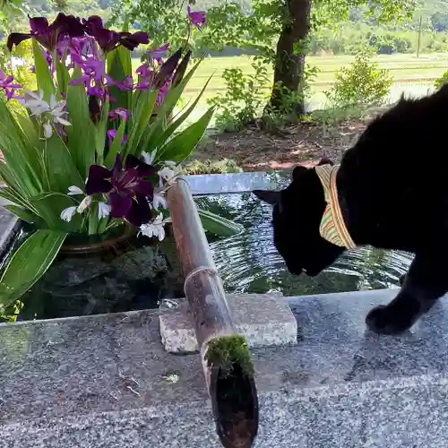 高司神社〜むすびの神の鎮まる社〜(福島県)
