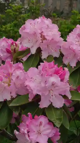 曼陀羅寺の庭園