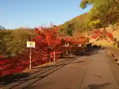 足利織姫神社の自然