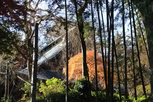 田村神社の景色