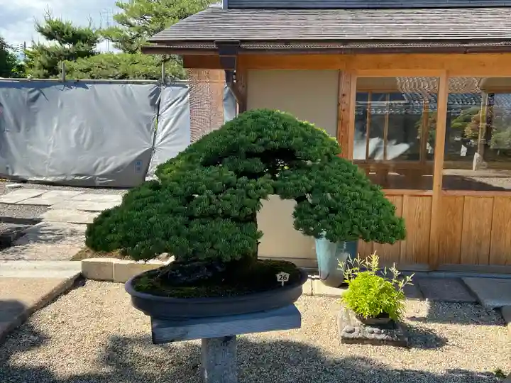 芳春院(京都府)