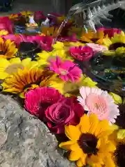 彌都加伎神社の手水