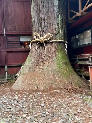 北口本宮冨士浅間神社(山梨県)