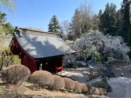 妙義神社(群馬県)