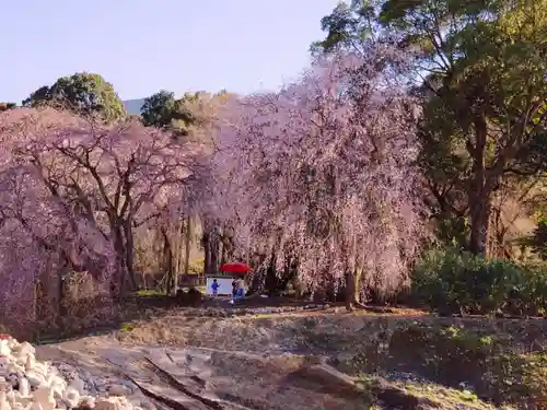 本佛寺別院　法華原の自然