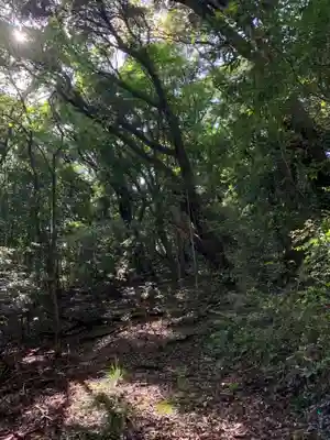 浅間神社の周辺