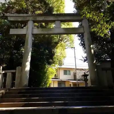 渋谷氷川神社の鳥居