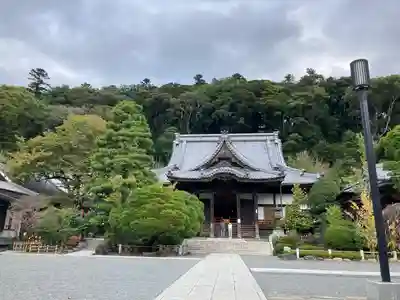 修禅寺の本殿・本堂