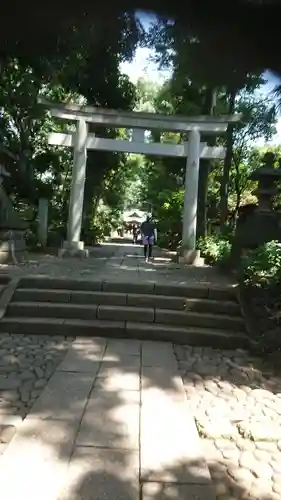 代々木八幡宮の鳥居