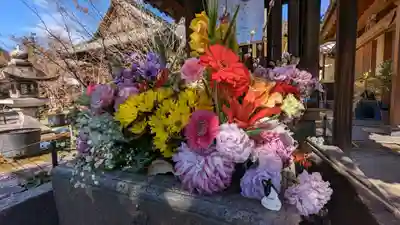 勝林寺(京都府)