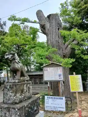大宮神社の{uncategorized: "未分類", other: "その他", undefined: "問題あり", building: "その他建物", grave: "お墓", sacred_gate: "鳥居", guardian: "狛犬", statue: "像", buddha: "仏像", history: "歴史", nature: "自然", garden: "庭園", animal: "動物", pagoda: "塔", temizu: "手水舎", mountain_gate: "山門・神門", sanctuary: "本殿・本堂", subordinate: "末社・摂社", art: "芸術", scenery: "景色", jizo: "地蔵", ema: "絵馬", goshuin: "御朱印", omikuji: "おみくじ", items: "授与品その他", amulet: "お守り", goshuincho: "御朱印帳", eats: "食事", festival: "お祭り", votive_dance: "神楽", shichigosan: "七五三参", wedding: "結婚式", experience: "体験その他", initially: "初詣", around: "周辺", anti_infection: "感染症対策"}