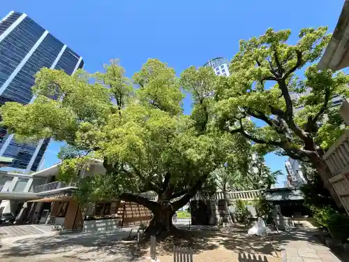 難波神社(大阪府)
