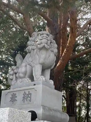 北見神社の狛犬