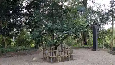 高岡市護国神社の自然