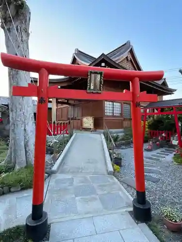 於菊稲荷神社の鳥居