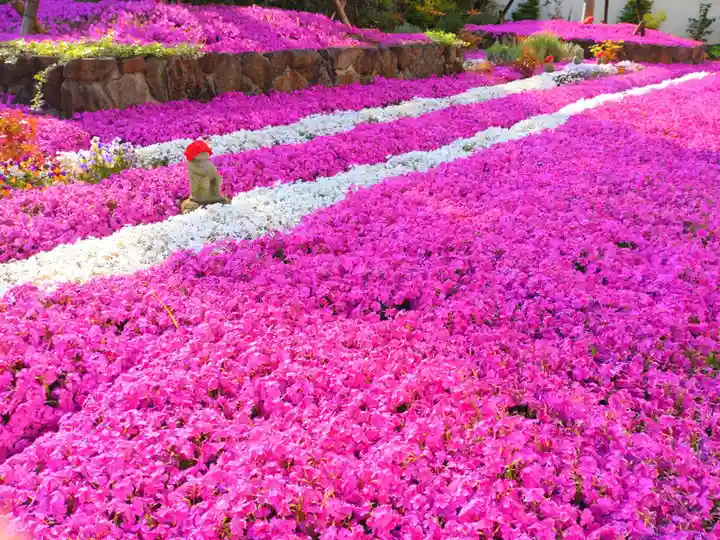 寿量山 速成寺の自然