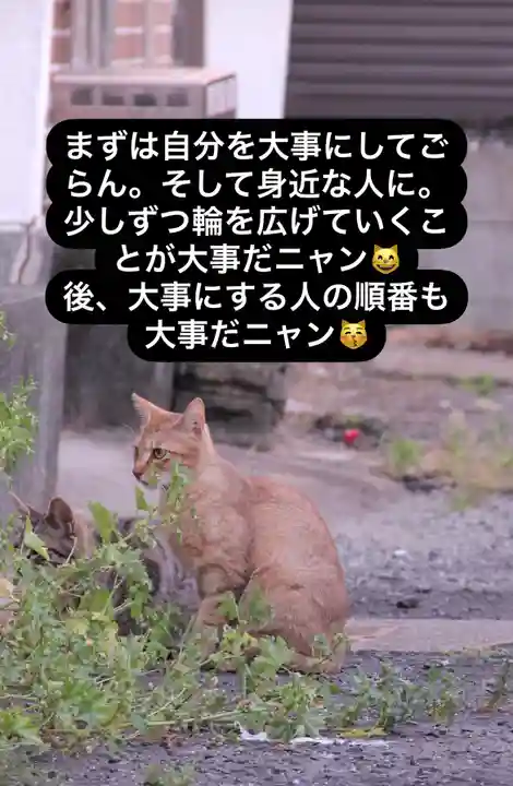 専念寺(大阪府)