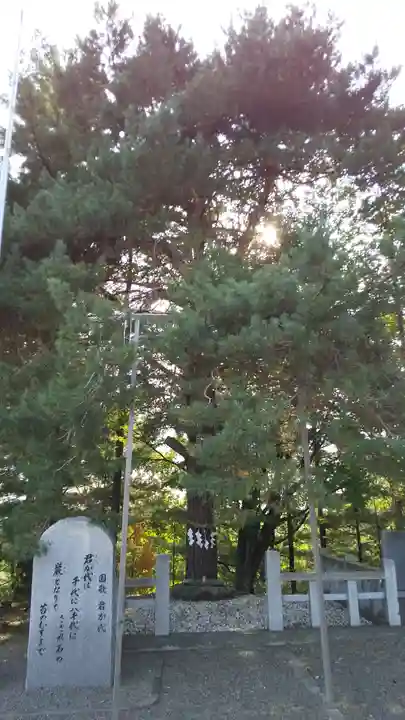 當麻神社の自然