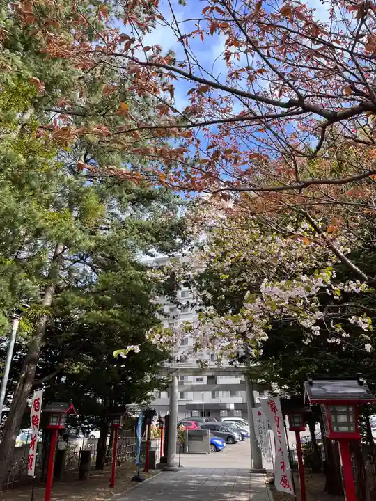 発寒神社の自然