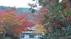 南禅寺の庭園