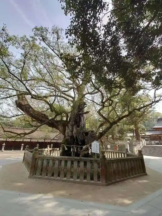 大山祇神社(愛媛県)
