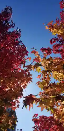 稲荷神社の自然