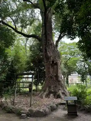 高座結御子神社（熱田神宮摂社）(愛知県)