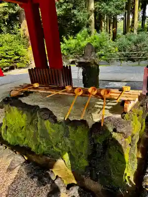 霧島神宮(鹿児島県)