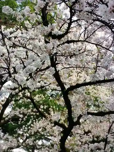 龍光寺(東京都)